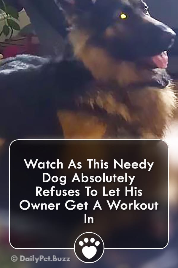 Watch As This Needy Dog Absolutely Refuses To Let His Owner Get A Workout In