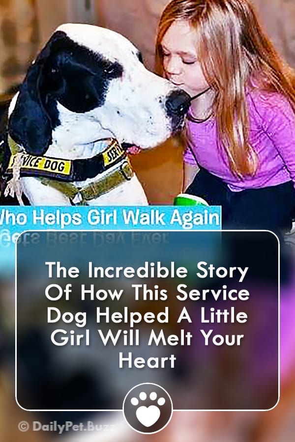 The Incredible Story Of How This Service Dog Helped A Little Girl Will Melt Your Heart