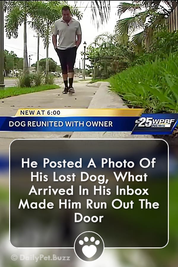He Posted A Photo Of His Lost Dog, What Arrived In His Inbox Made Him Run Out The Door
