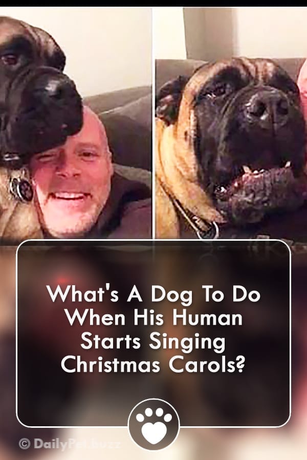 What\'s A Dog To Do When His Human Starts Singing Christmas Carols?