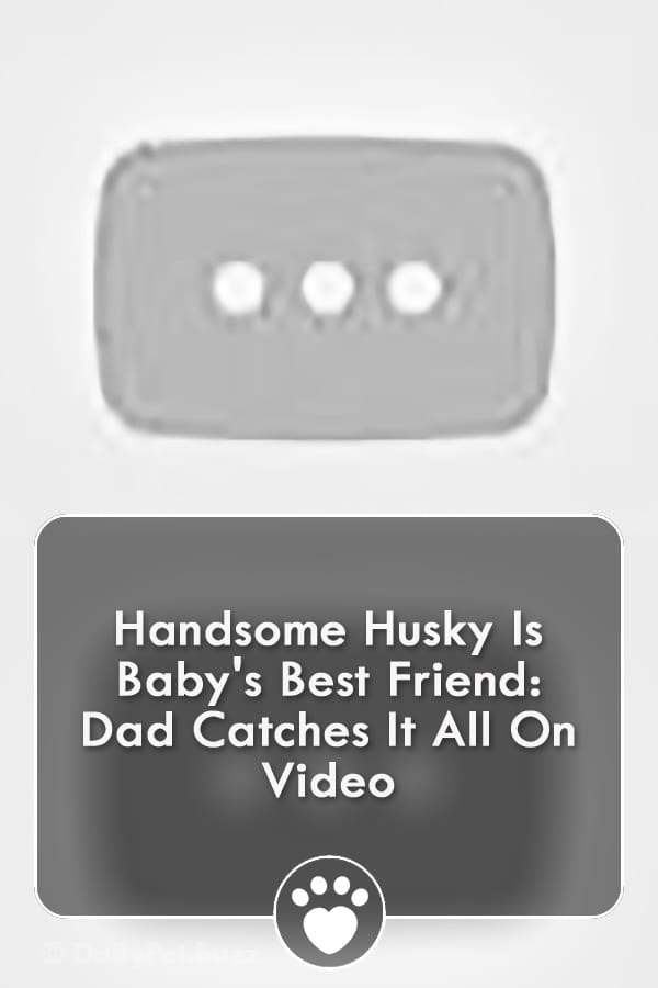 Handsome Husky Is Baby\'s Best Friend: Dad Catches It All On Video