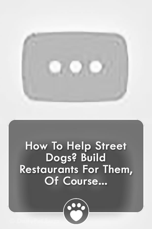 How To Help Street Dogs? Build Restaurants For Them, Of Course...