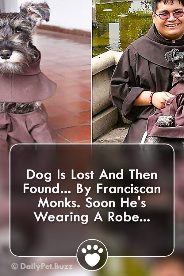Dog Is Lost And Then Found... By Franciscan Monks. Soon He\'s Wearing A Robe...