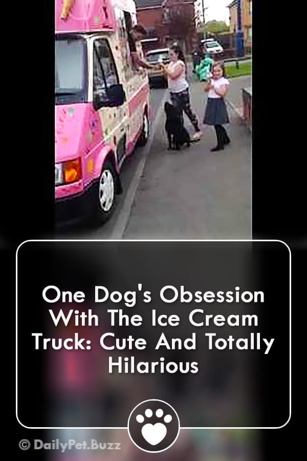 One Dog\'s Obsession With The Ice Cream Truck: Cute And Totally Hilarious