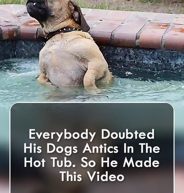 Pinterest Hidden Image