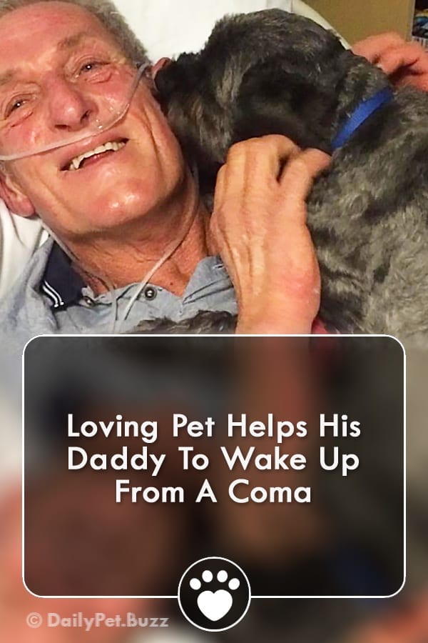 Loving Pet Helps His Daddy To Wake Up From A Coma
