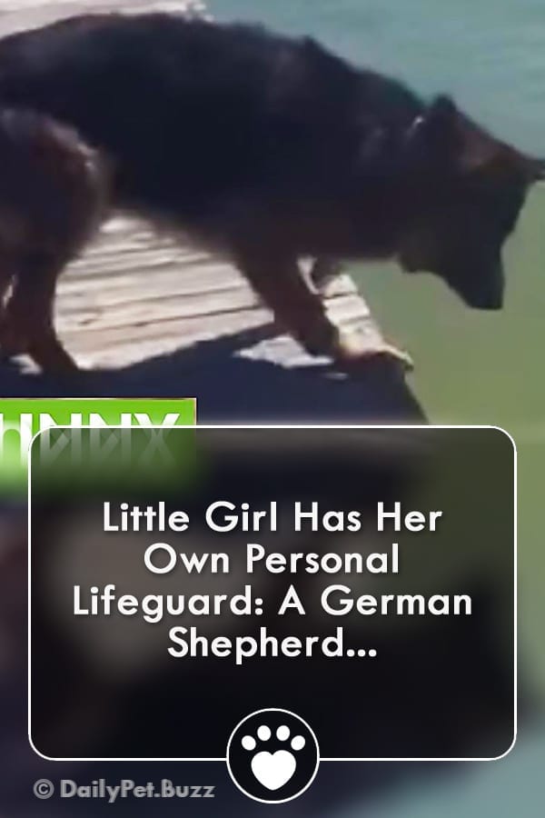 Little Girl Has Her Own Personal Lifeguard: A German Shepherd...