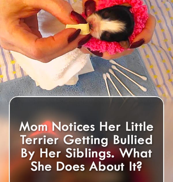 Pinterest Hidden Image