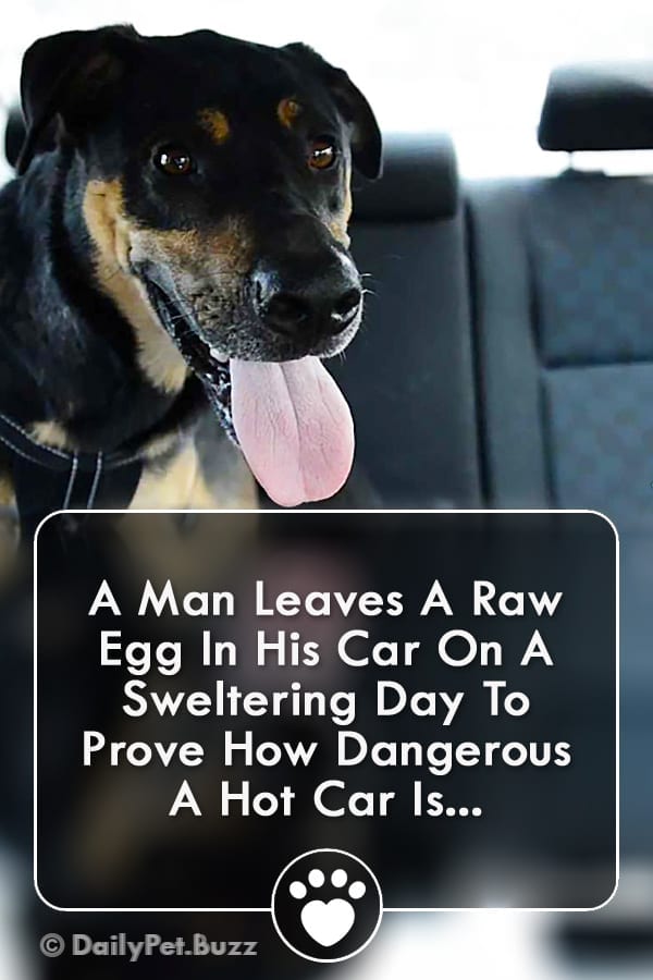 A Man Leaves A Raw Egg In His Car On A Sweltering Day To Prove How Dangerous A Hot Car Is...