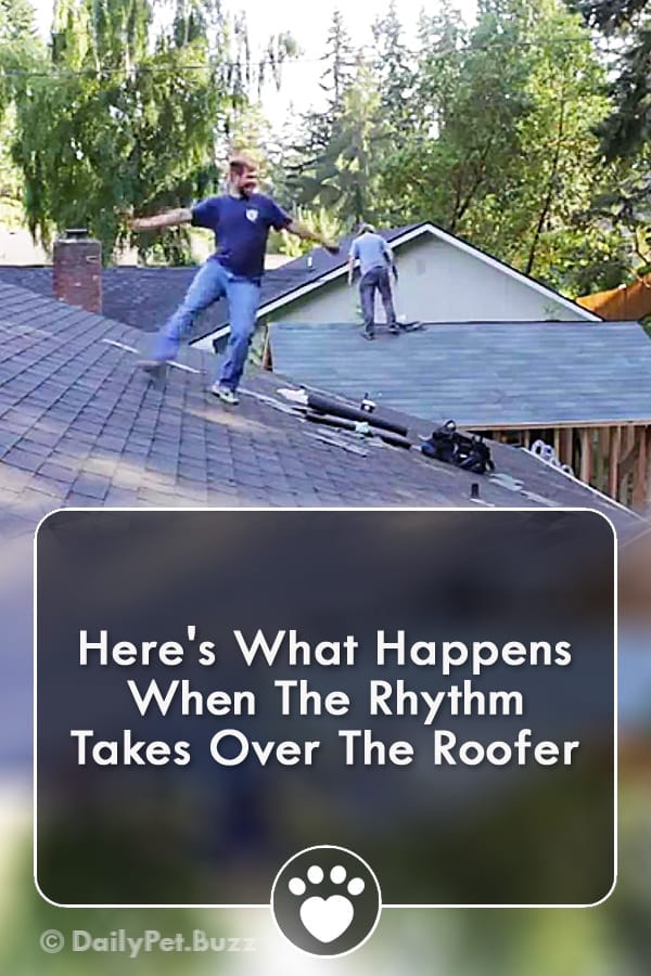 Here\'s What Happens When The Rhythm Takes Over The Roofer