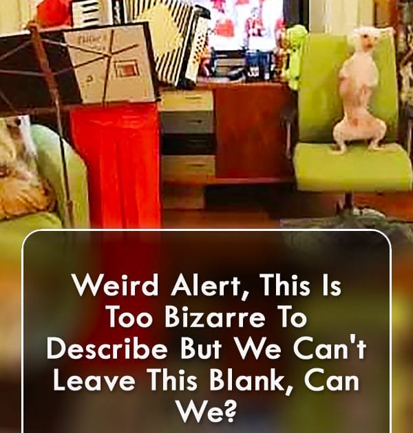 Pinterest Hidden Image