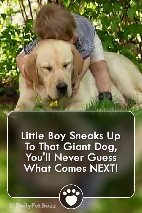 Little Boy Sneaks Up To That Giant Dog, You\'ll Never Guess What Comes NEXT!