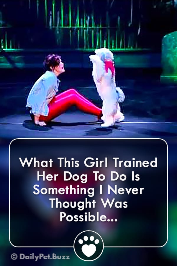 What This Girl Trained Her Dog To Do Is Something I Never Thought Was Possible...