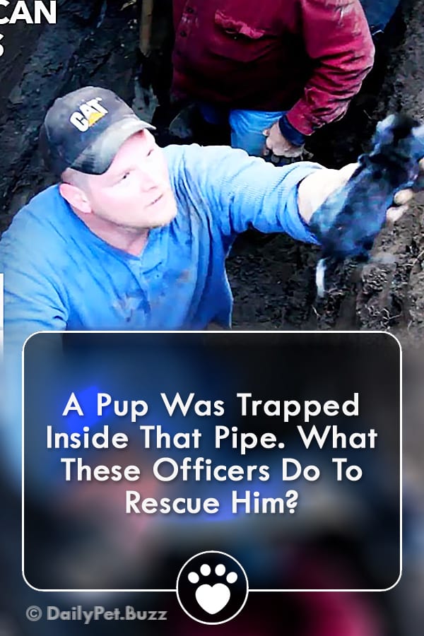 A Pup Was Trapped Inside That Pipe. What These Officers Do To Rescue Him?