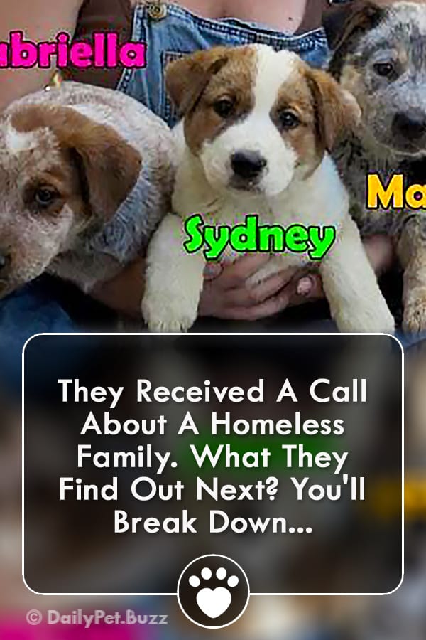 They Received A Call About A Homeless Family. What They Find Out Next? You\'ll Break Down...