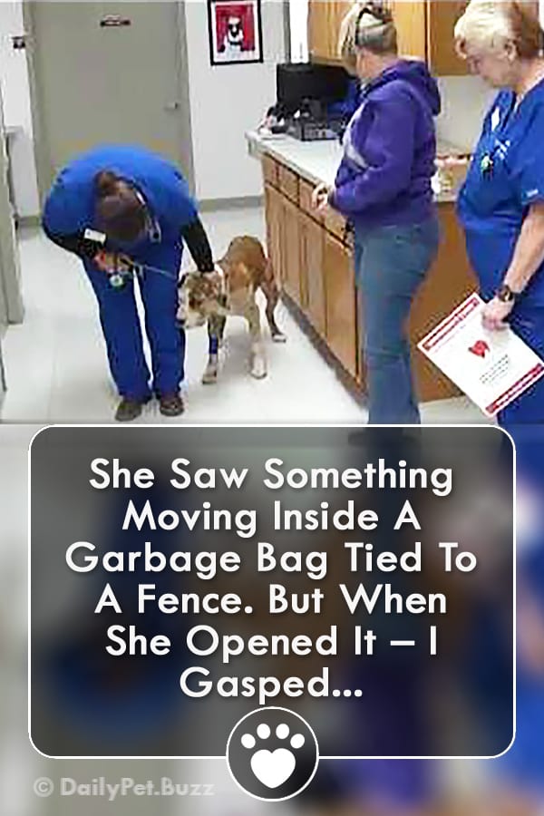 She Saw Something Moving Inside A Garbage Bag Tied To A Fence. But When She Opened It – I Gasped...