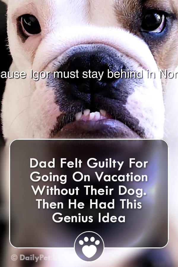 Dad Felt Guilty For Going On Vacation Without Their Dog. Then He Had This Genius Idea