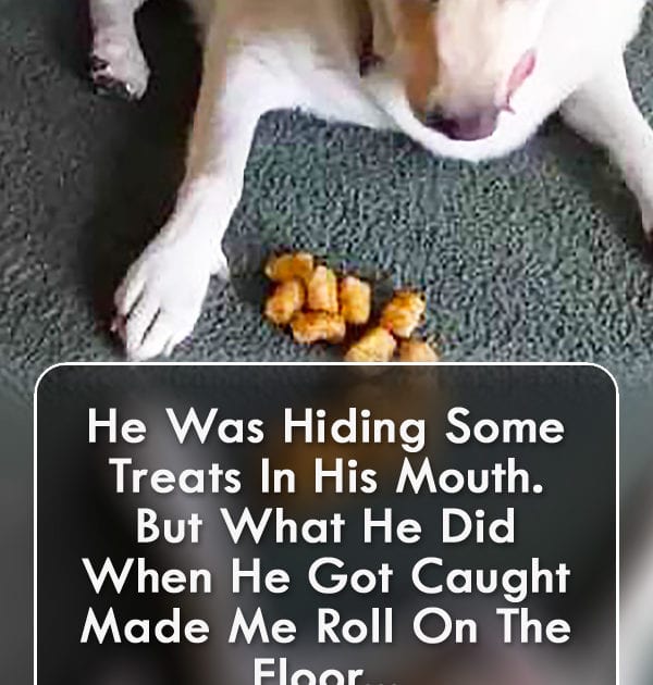 Pinterest Hidden Image