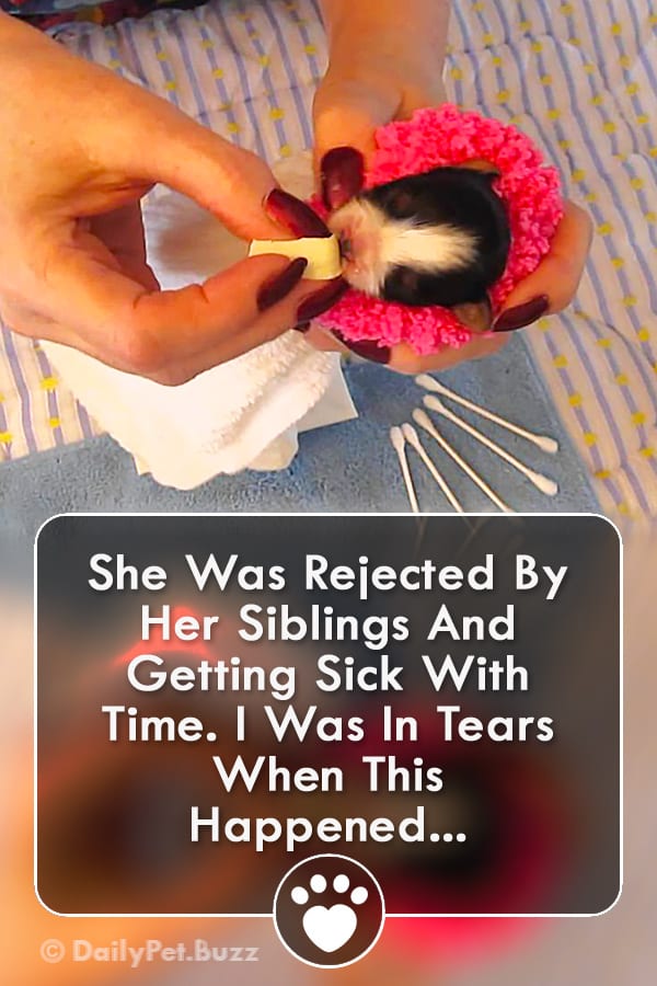 She Was Rejected By Her Siblings And Getting Sick With Time. I Was In Tears When This Happened...