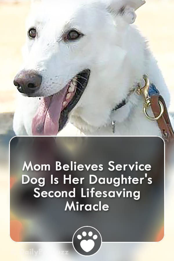 Mom Believes Service Dog Is Her Daughter\'s Second Lifesaving Miracle